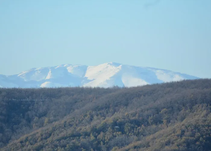 Vakantiehuis Casarancio 6